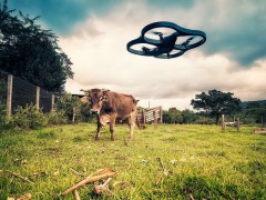 Dron profesjonalny i dla hobbystów/amatorów. Dron profesjonalny i dla hobbystów/amatorów.